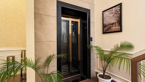 An elevator with a modern design, a potted plant, and a framed picture on the wall.