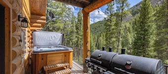 New Listing! Ski or Hike. Hot Tub After. +Pets - 20 Secluded Acres