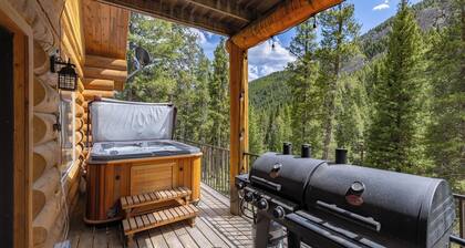New Listing! Ski or Hike. Hot Tub After. +Pets - 20 Secluded Acres
