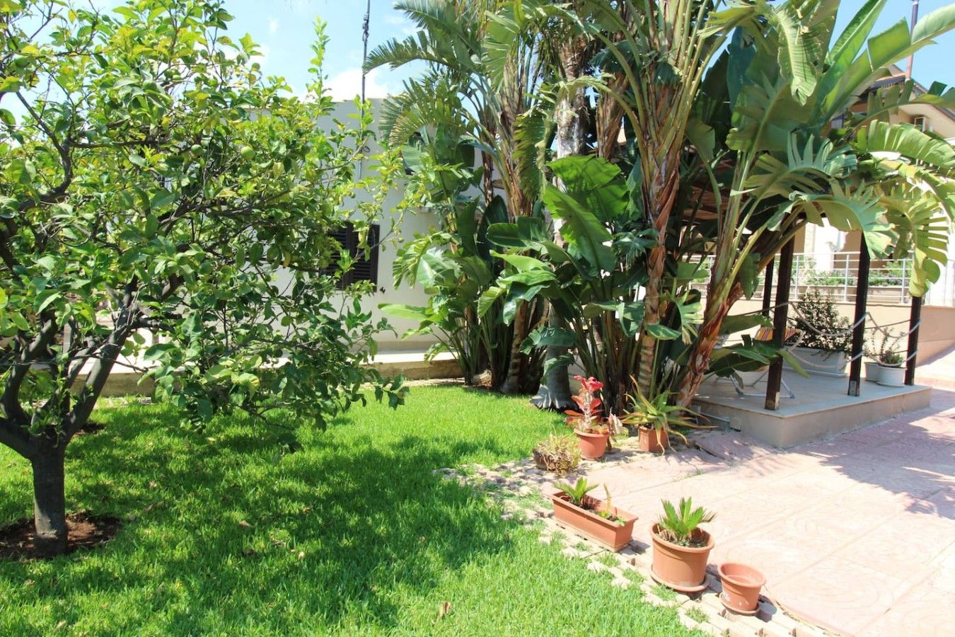 Un jardin comprenant une variété de plantes, une pelouse et une zone pavée agrémentée de plantes en pot.