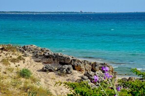 Un paisaje costero con terreno rocoso y una vista despejada del mar.