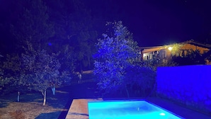 Una piscina nocturna con iluminación azul, rodeada de árboles y una casa al fondo.