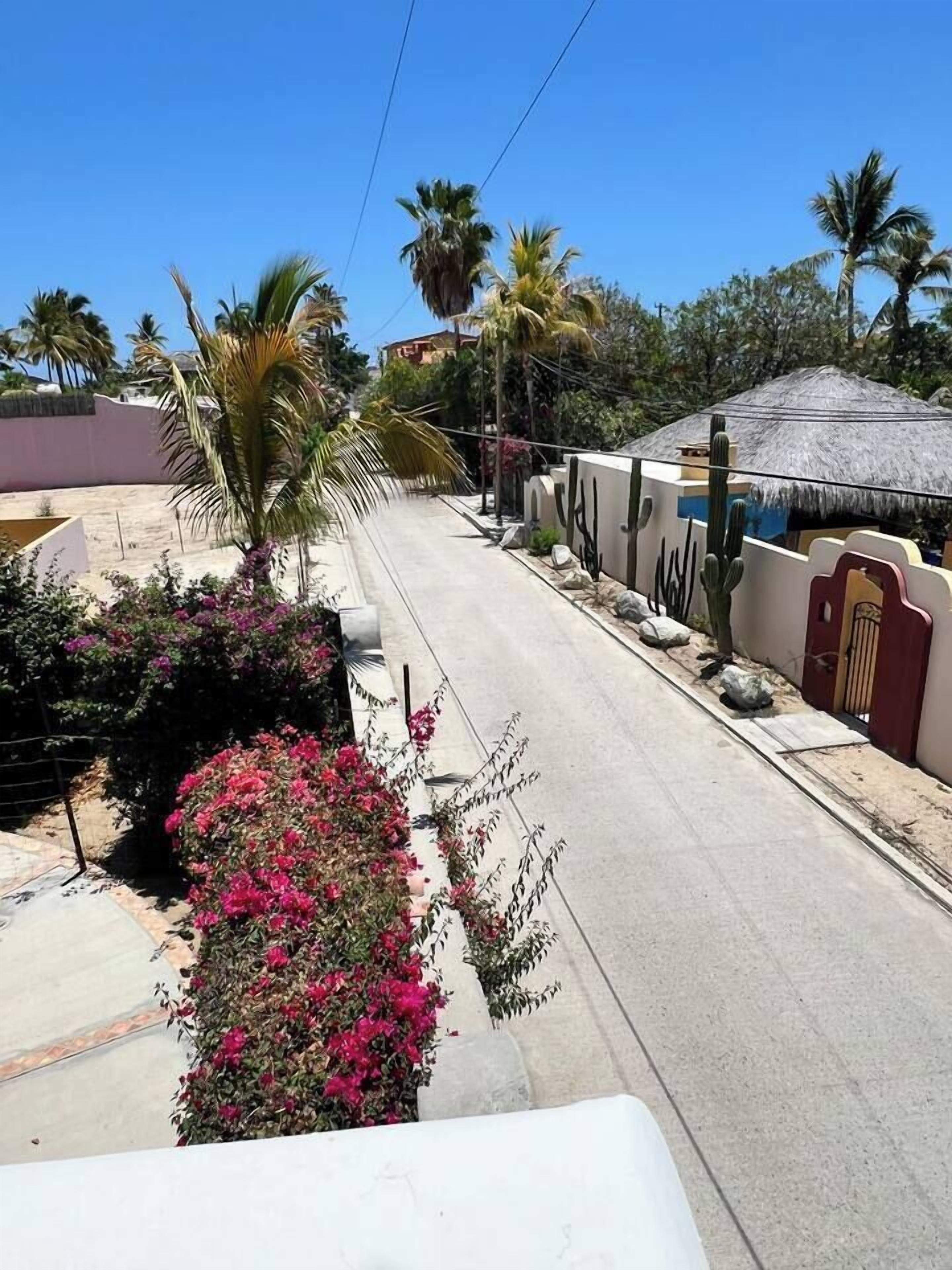 A street with a building featuring a thatched roof, palm trees, and a cactus garden.