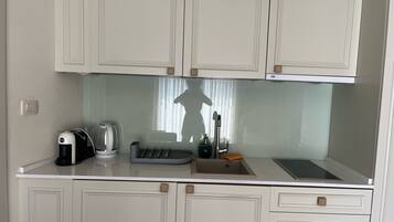 Fridge, stovetop, cookware/dishes/utensils