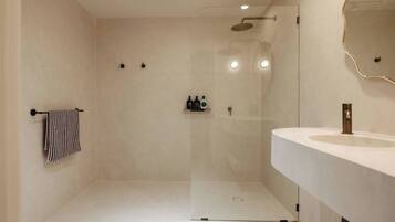 Shower, hair dryer, towels, shampoo