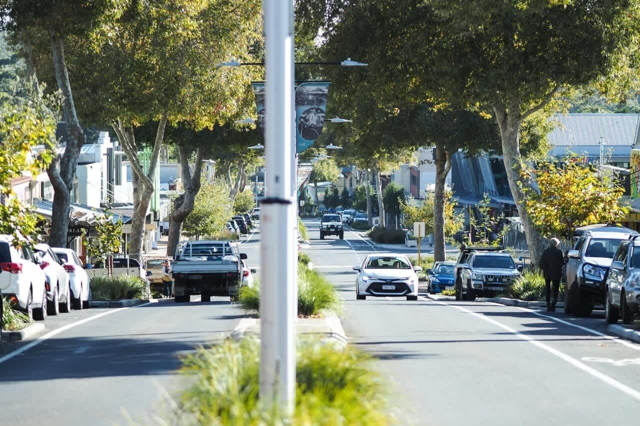 A tree-lined street with parked cars and buildings in the background.