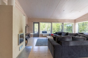 Fernseher, Kamin, Bücher
