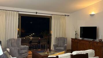 Smart TV, fireplace, books