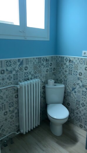 Une salle de bain avec des toilettes, un radiateur et des carreaux décoratifs sur les murs.