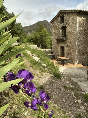 Outdoor dining - Room 'Chambre Jaune' with Mountain View, Shared Terrace and Shared Garden (Blieux)