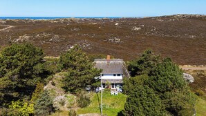 Eksteriør