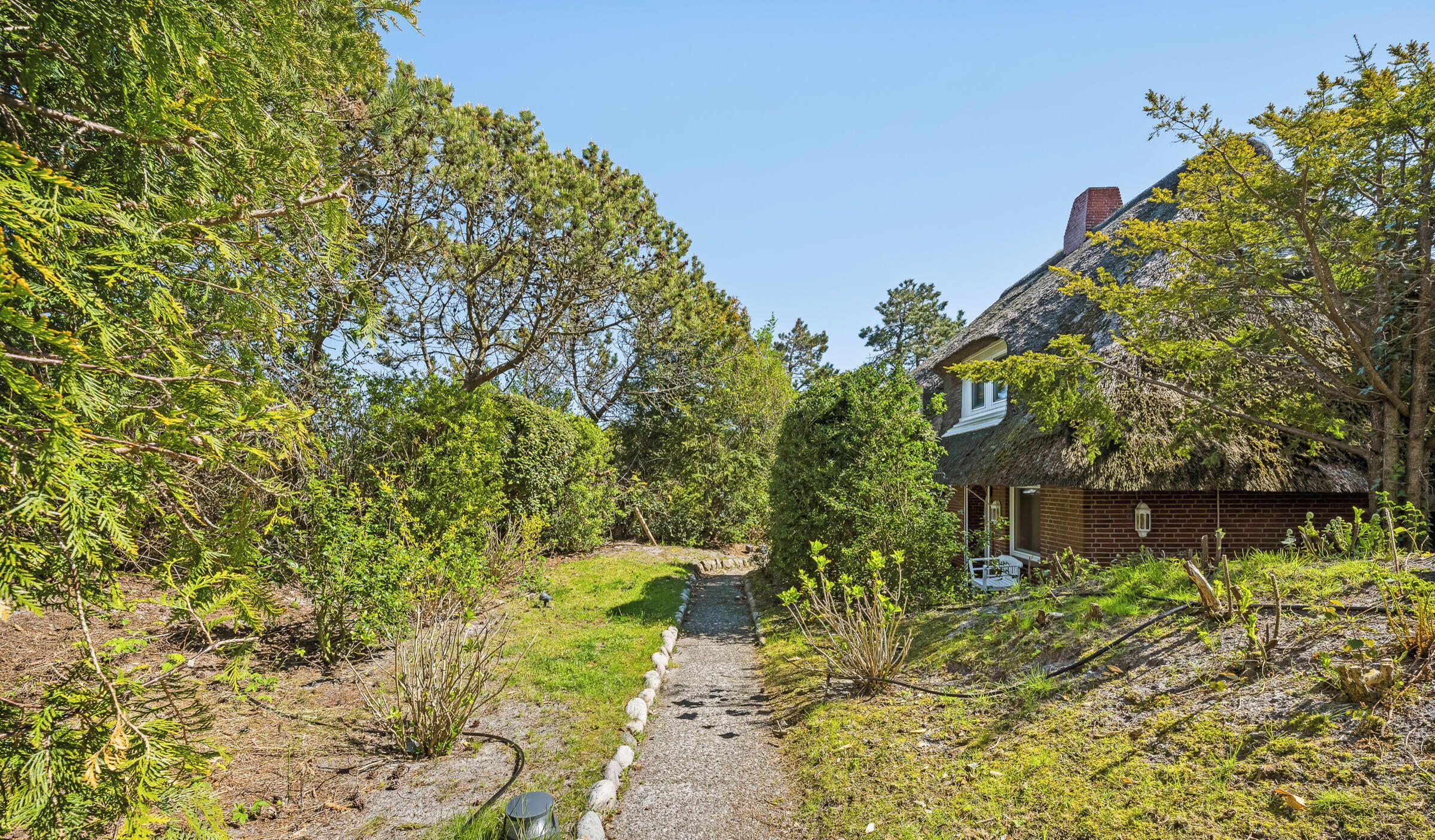 A rustic house with a thatched roof, surrounded by dense greenery and a gravel path leading to it.