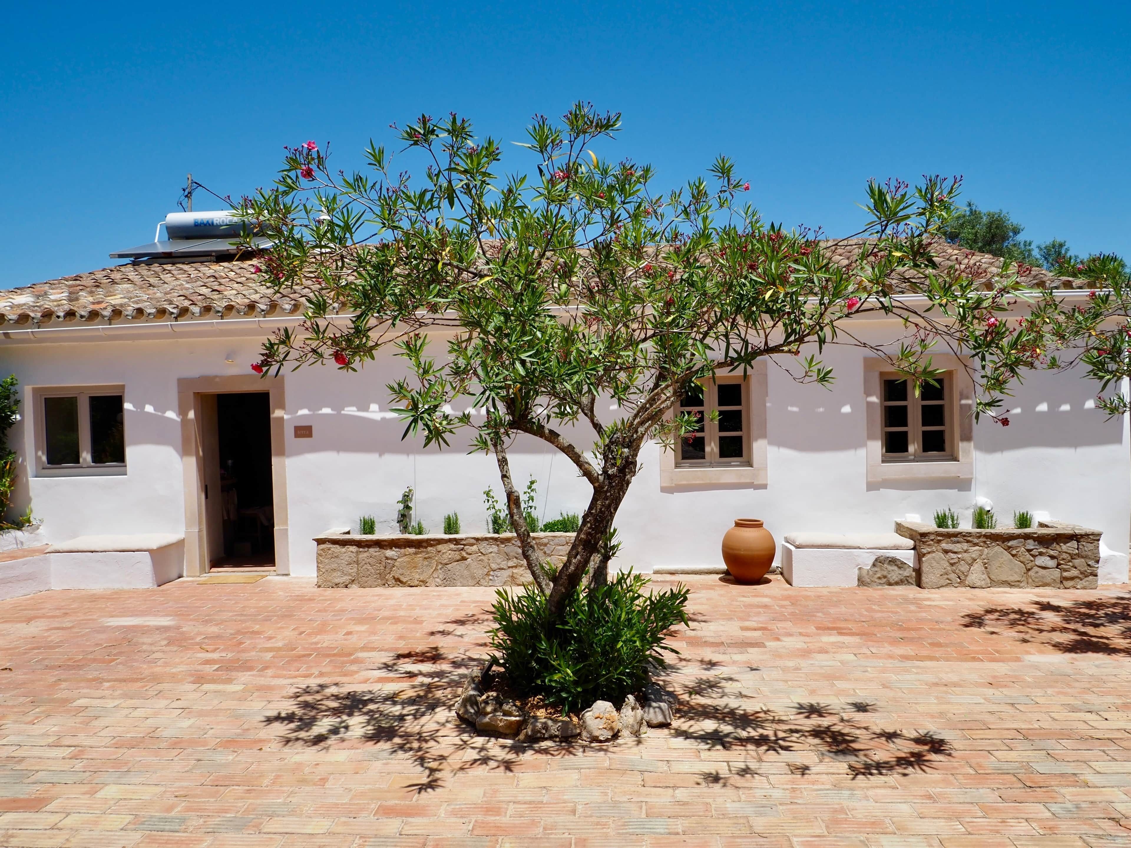 A building with a tiled roof, a central tree, and a stone wall.