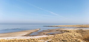 Eine Küstenlandschaft mit Sandstrand, Grasdünen und ruhiger See.