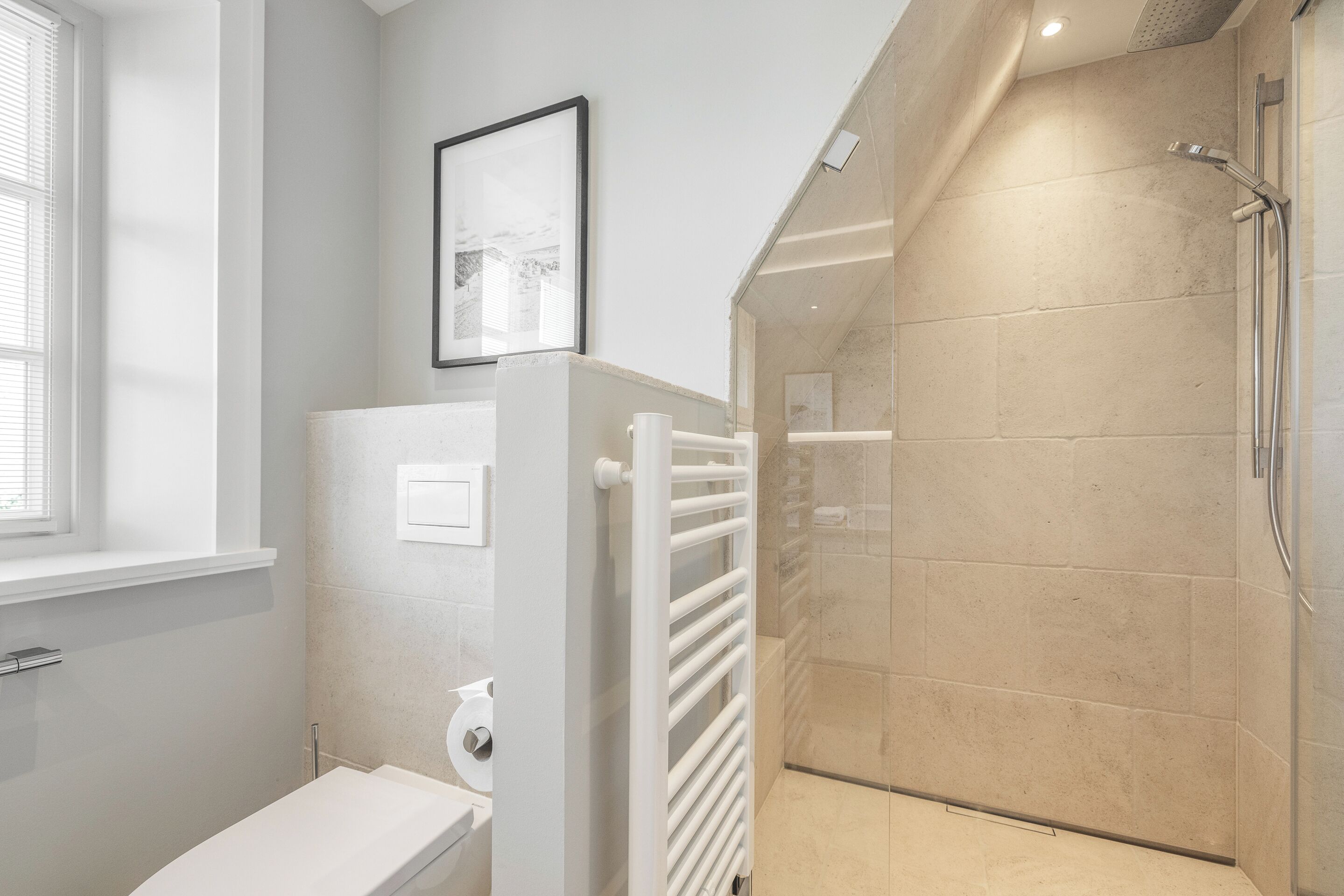 Un bagno con un WC, una doccia e un quadro appeso al muro.