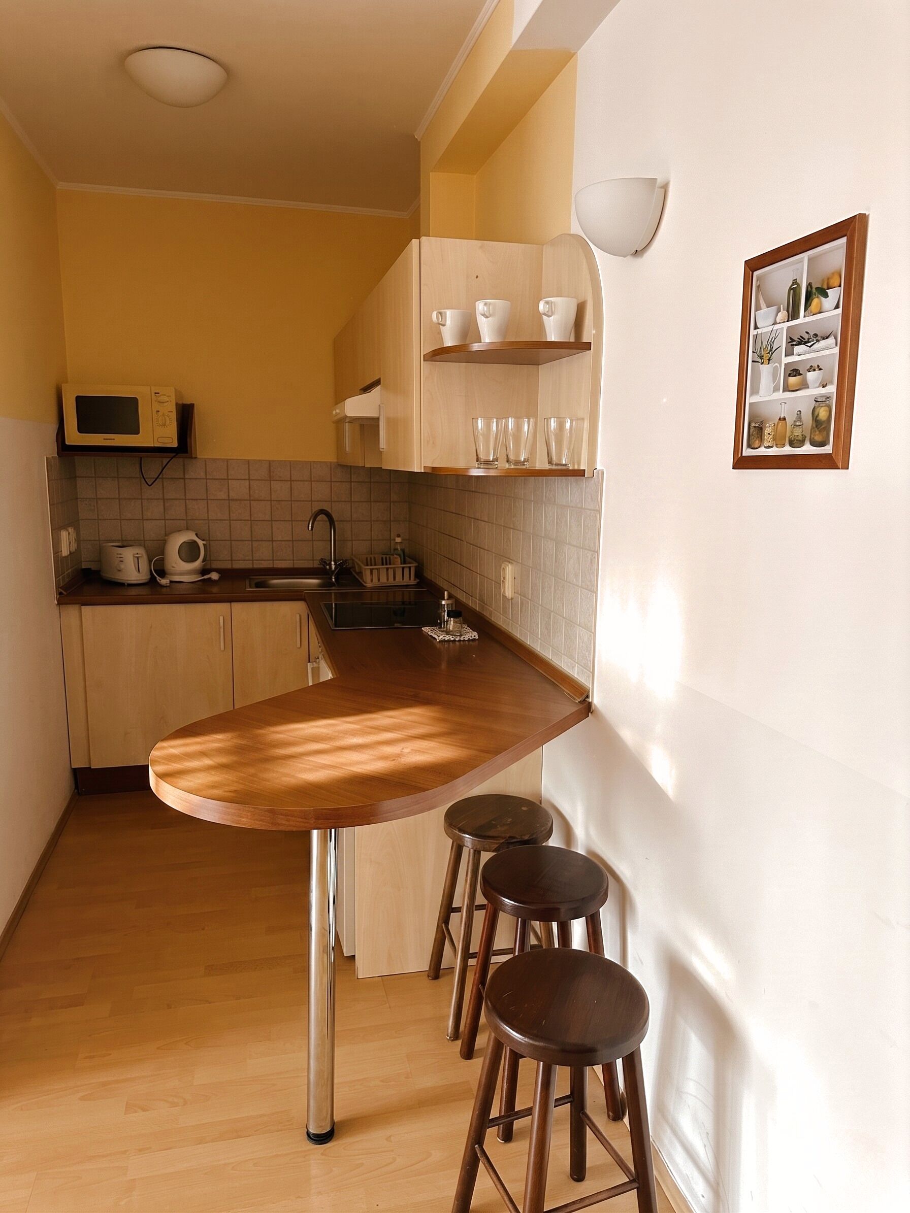Studio, balkon, uitzicht op park | Privékeuken | Een minikoelkast, een microgolfoven, een kookplaat