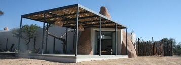 Un edificio moderno con fachada de vidrio, techo de madera y un gran árbol en primer plano.