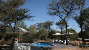 A pool area with lounge chairs and umbrellas, surrounded by trees.