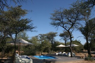 Un área de piscina con sillas de descanso y sombrillas, rodeada de árboles.