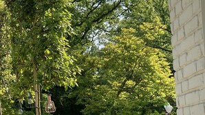 Um jardim com gramado, plantas em vasos e um muro de tijolos.