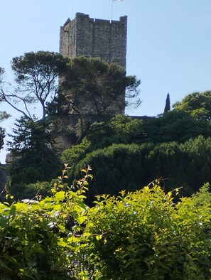 A stone tower with a flag on top, surrounded by dense greenery and trees. - The Castle (Sommières)