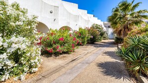A pathway leading to a white building with arches, surrounded by flowering plants and a palm tree. - Studio Terrace 263 by the Sea (La Grande-Motte)