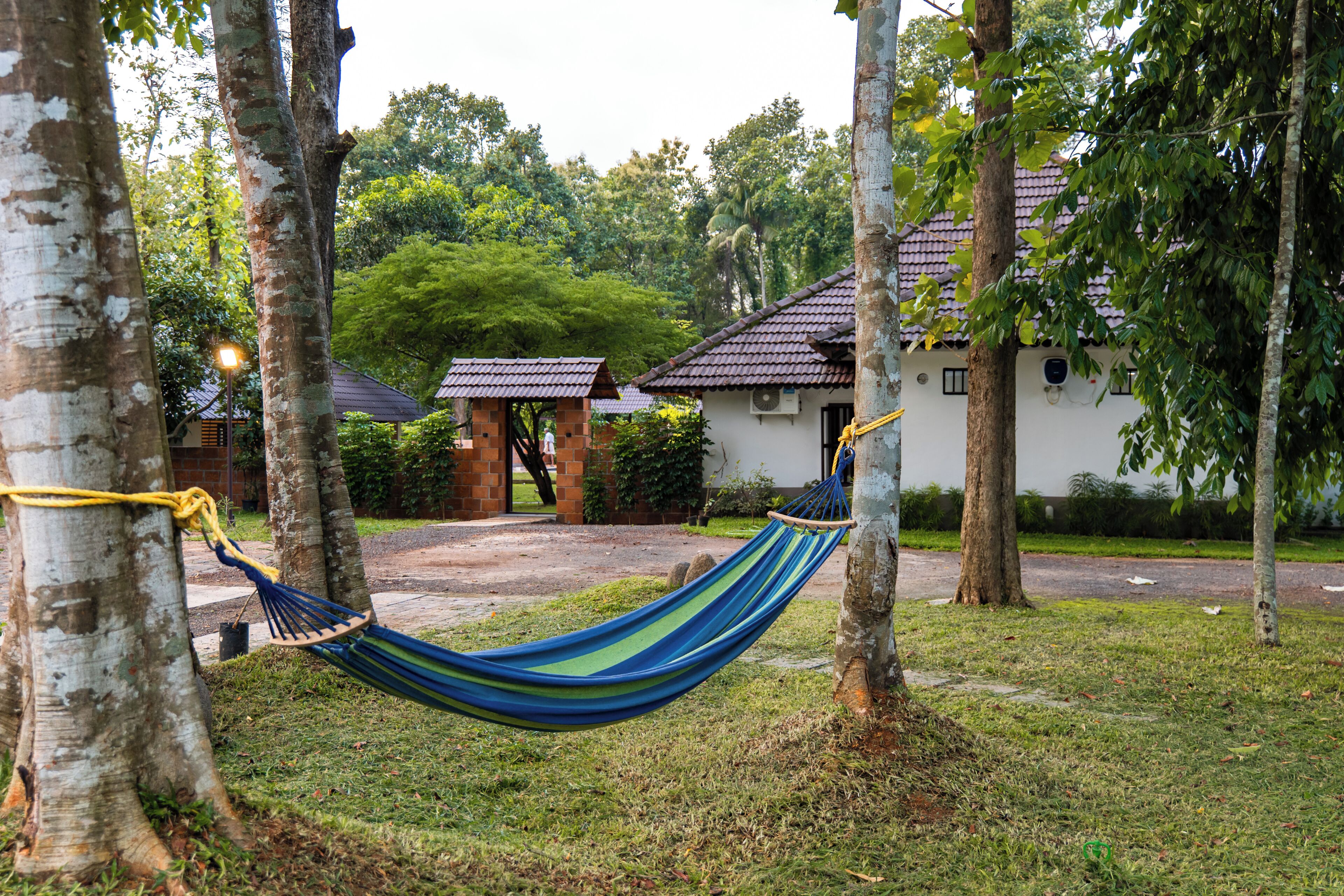 A hammock between trees, a building with a tiled roof, and a paved pathway.