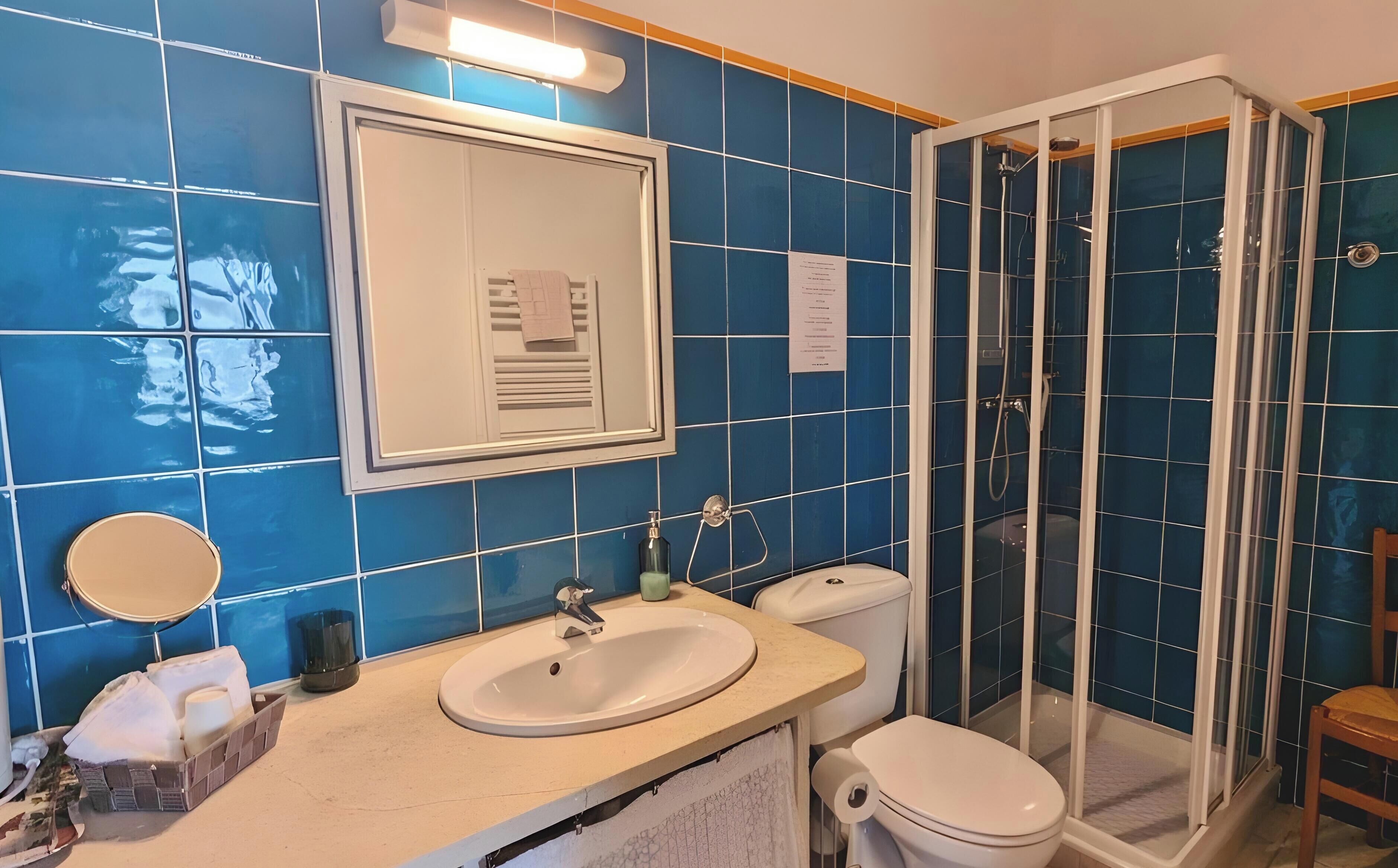 Kylpyhuoneessa on siniset laatat, pesuallas, wc-istuin, lasiseinällä varustettu suihku ja peili.