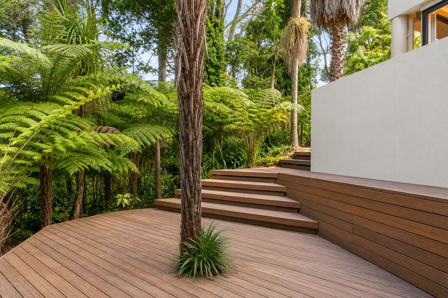 A wooden deck with steps leading to a white wall, surrounded by lush greenery including ferns and palm trees.