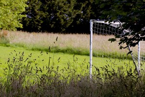 Portería de fútbol en un campo de césped con árboles al fondo.