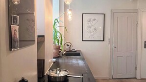 Una cucina con un lungo bancone, un lavello, un fornello e una pianta in vaso.