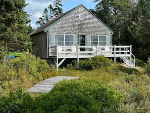 Eine Holzhütte mit einer Terrasse, umgeben von dichtem Grün und Bäumen.