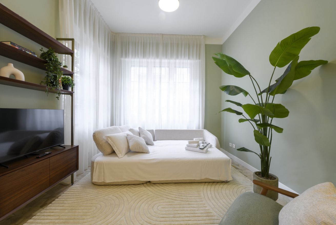 A modern bedroom with a bed, a TV, a plant, and a window with curtains.