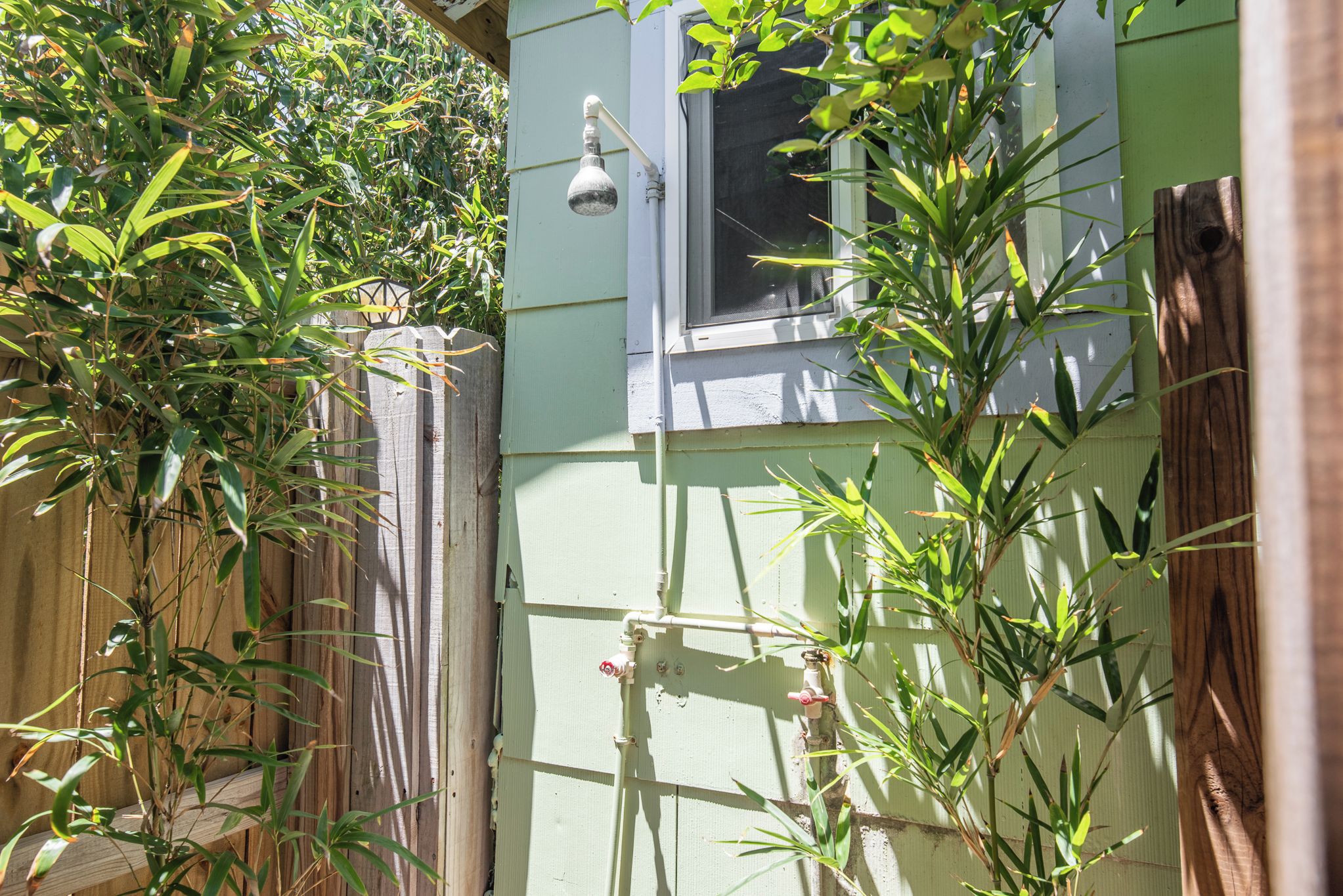 A green house with a window, a wooden fence, and a bamboo plant.