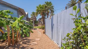 A pathway leading to a house with a blue fence, palm trees, and a banana plant.
