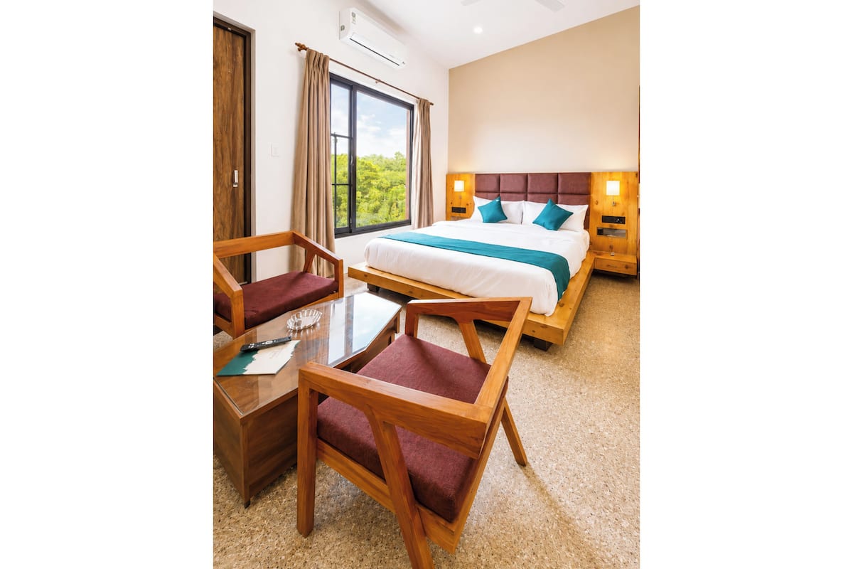 Deluxe Double Room, Air conditioning | View from room