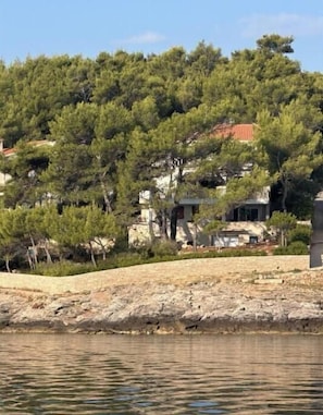 Eksteriør