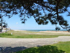 Ein Blick auf die Küste mit einem gepflasterten Weg, der zu einem Strand führt, umgeben von Gras und Kiefern.