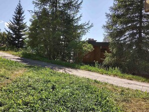 Ein schmaler Feldweg, umgeben von dichtem Grün und hohen Nadelbäumen.