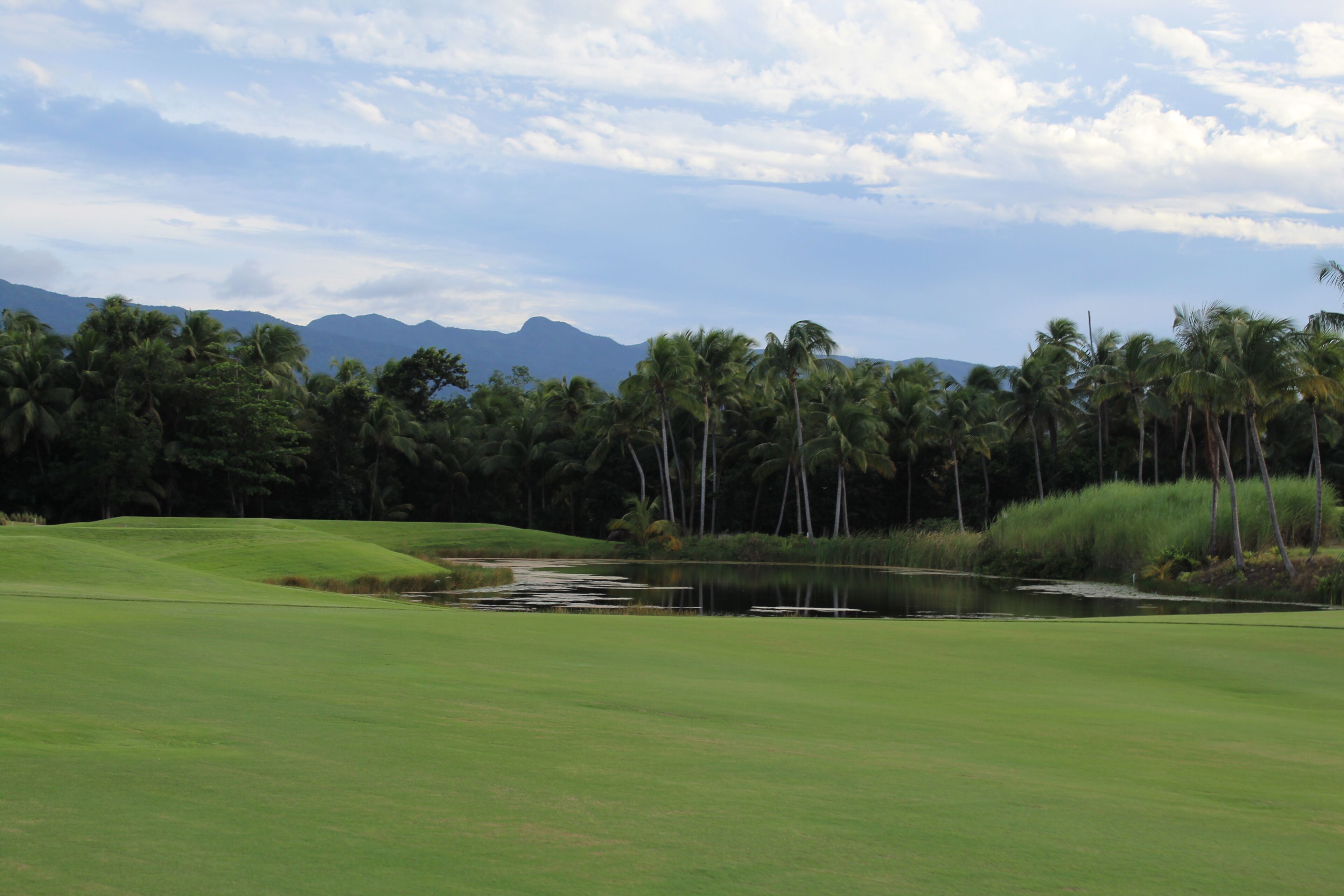 Un camp de golf amb un estany, palmeres i muntanyes al fons.