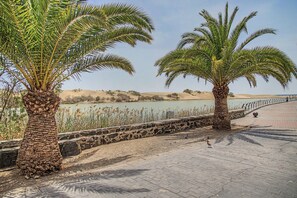 A paved walkway with palm trees and a body of water in the background. - Holiday Apartment 'Los Porches K28' with Shared Pool, Private Terrace & Wi-Fi (Maspalomas)