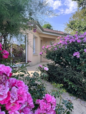 A house with a garden, a window, and a door. - Gîte Le Clocher du Layon (Nueil Sur Layon)