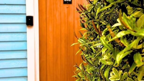Una puerta de madera con el número 202, una pared exterior azul y abundante follaje verde al frente.