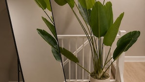 A room with a large mirror, a potted plant, and a staircase. - Modern 2BD 1BA Near OSU Fairgrounds FREE Parking (Columbus)