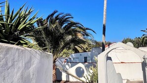 Una palmera alta, un edificio blanco con un ventanal circular y un cielo azul despejado.
