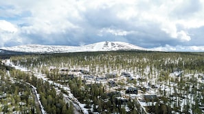 Lumipeitteinen vuori, jonka rinteillä kasvaa tiheä metsä, ja vuoren juurella sijaitseva pieni kaupunki, jossa on mökkejä.