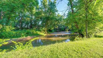 A natural landscape with a river, dense greenery, and trees.