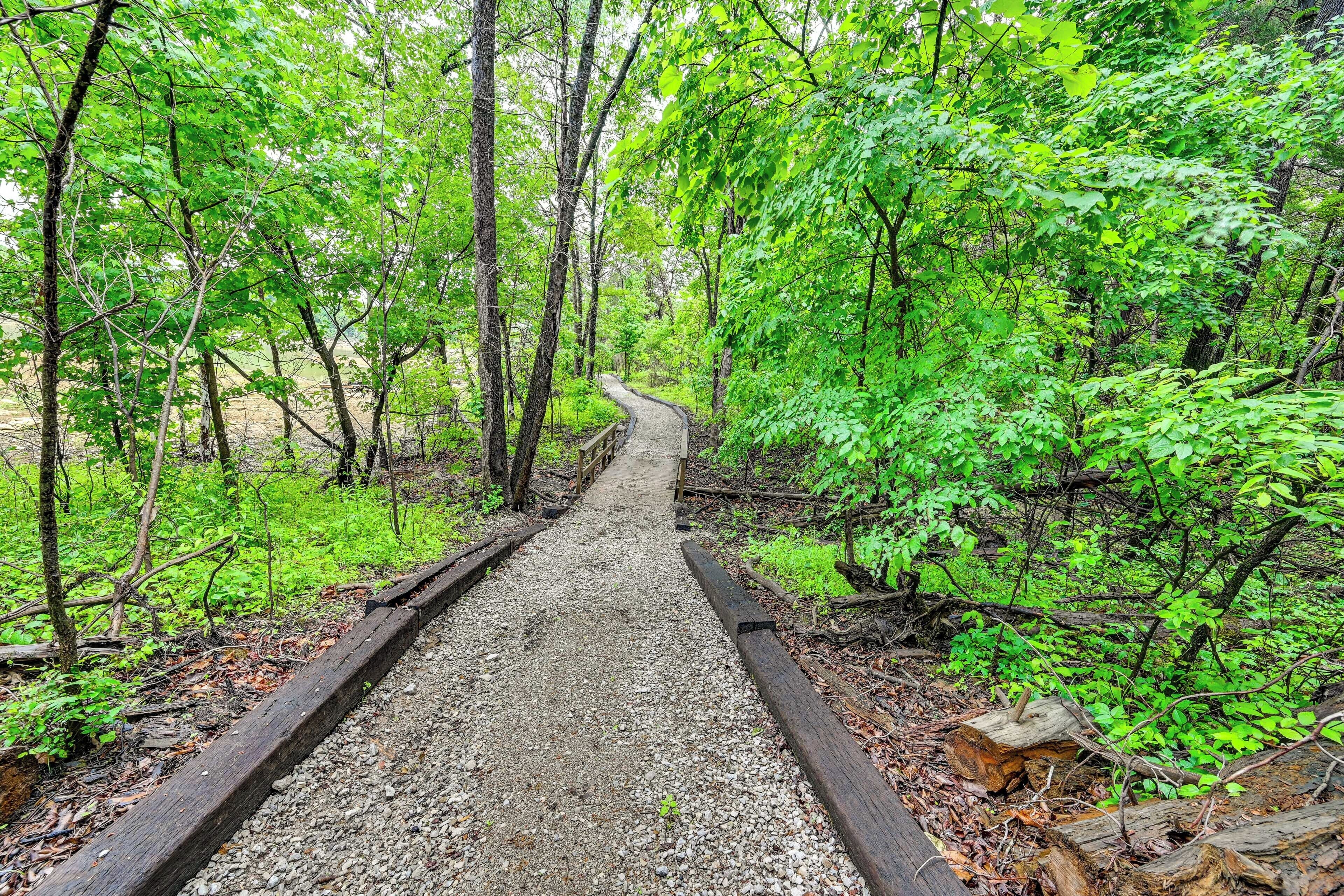 A gravel path flanked by wooden railings in a forested area.