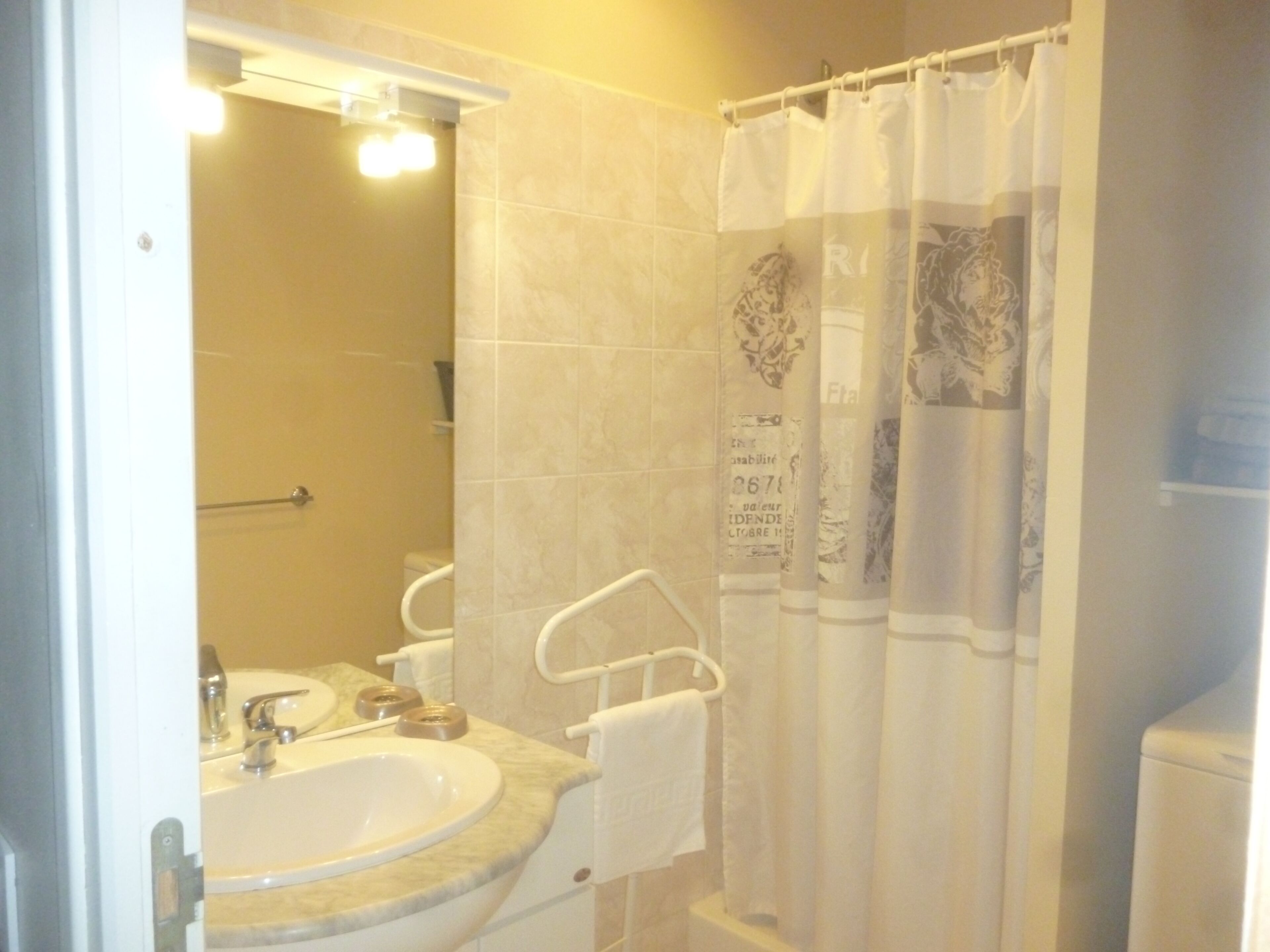 Une salle de bain équipée d’un lavabo, d’un miroir, d’un porte-serviettes et d’un rideau de douche.