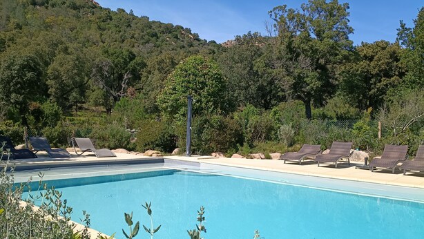 Ein Pool mit Liegestühlen, umgeben von Bäumen und einer hügeligen Landschaft.